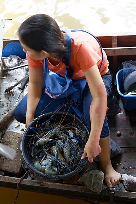 Talin chan-NOV13-168